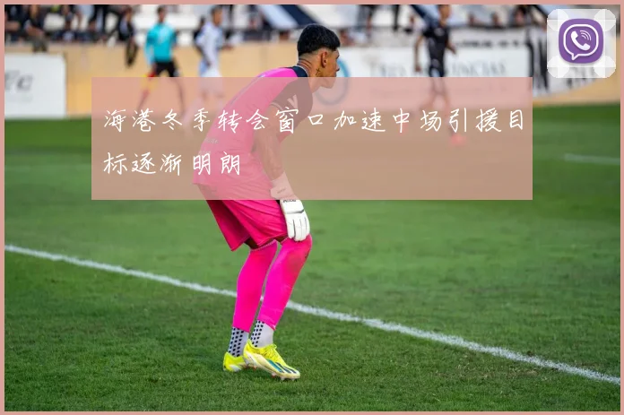 海港冬季转会窗口加速中场引援目标逐渐明朗